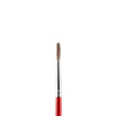 Picture of JUNIOR PAINTBRUSH ROUND